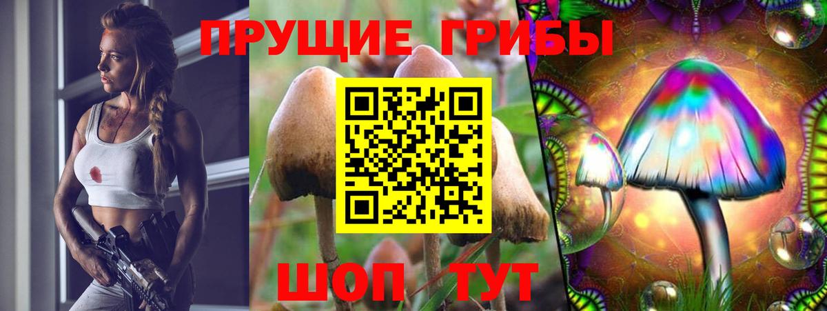 Псилоцибиновые грибы прущие грибы  Вход с VPN  Псилоцибиновые грибы мицелий  Алексин 